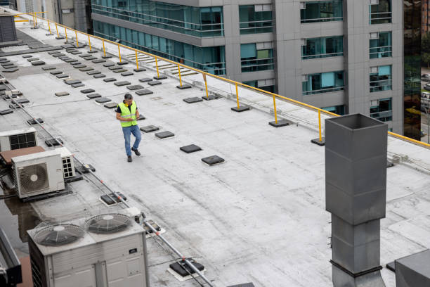 Best Skylight Installation and Repair  in San Carlos Park, FL